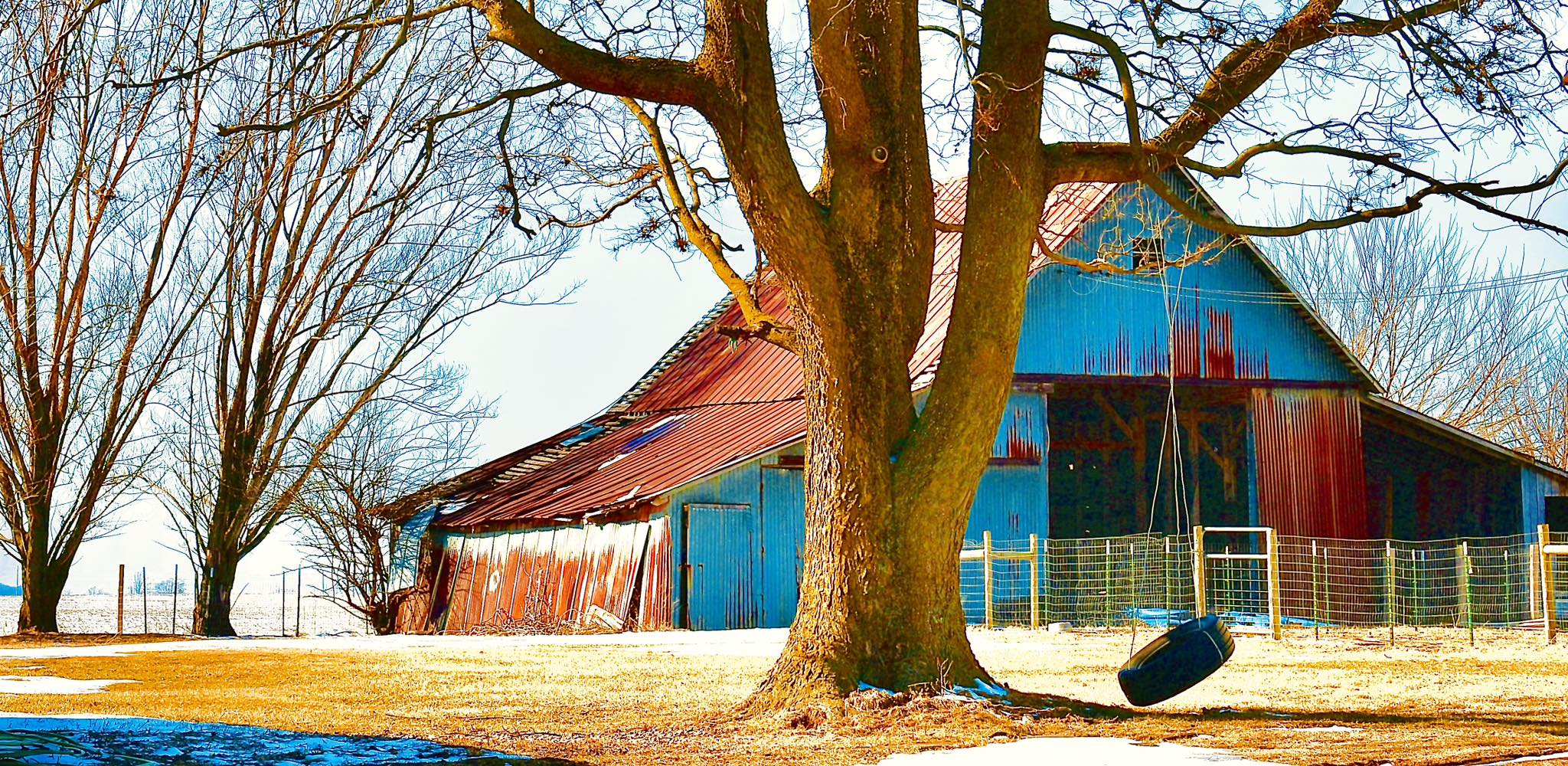 A Working Family Farm in the Midwest with a Tire Swing in the Yard