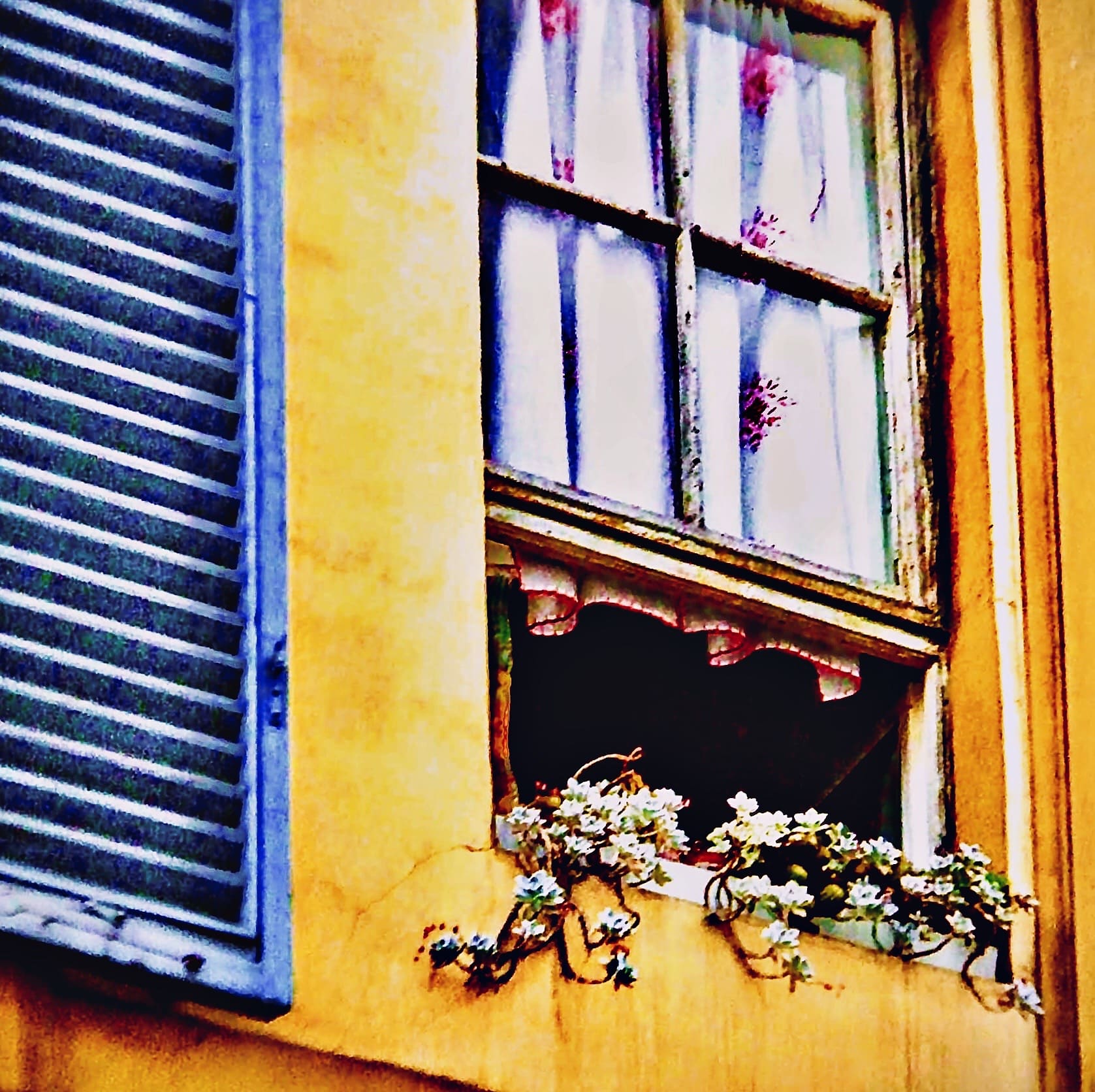 San Fransisco, Mother's Day, Maui and Italy 2005-2006. Fine Art Photography Prints