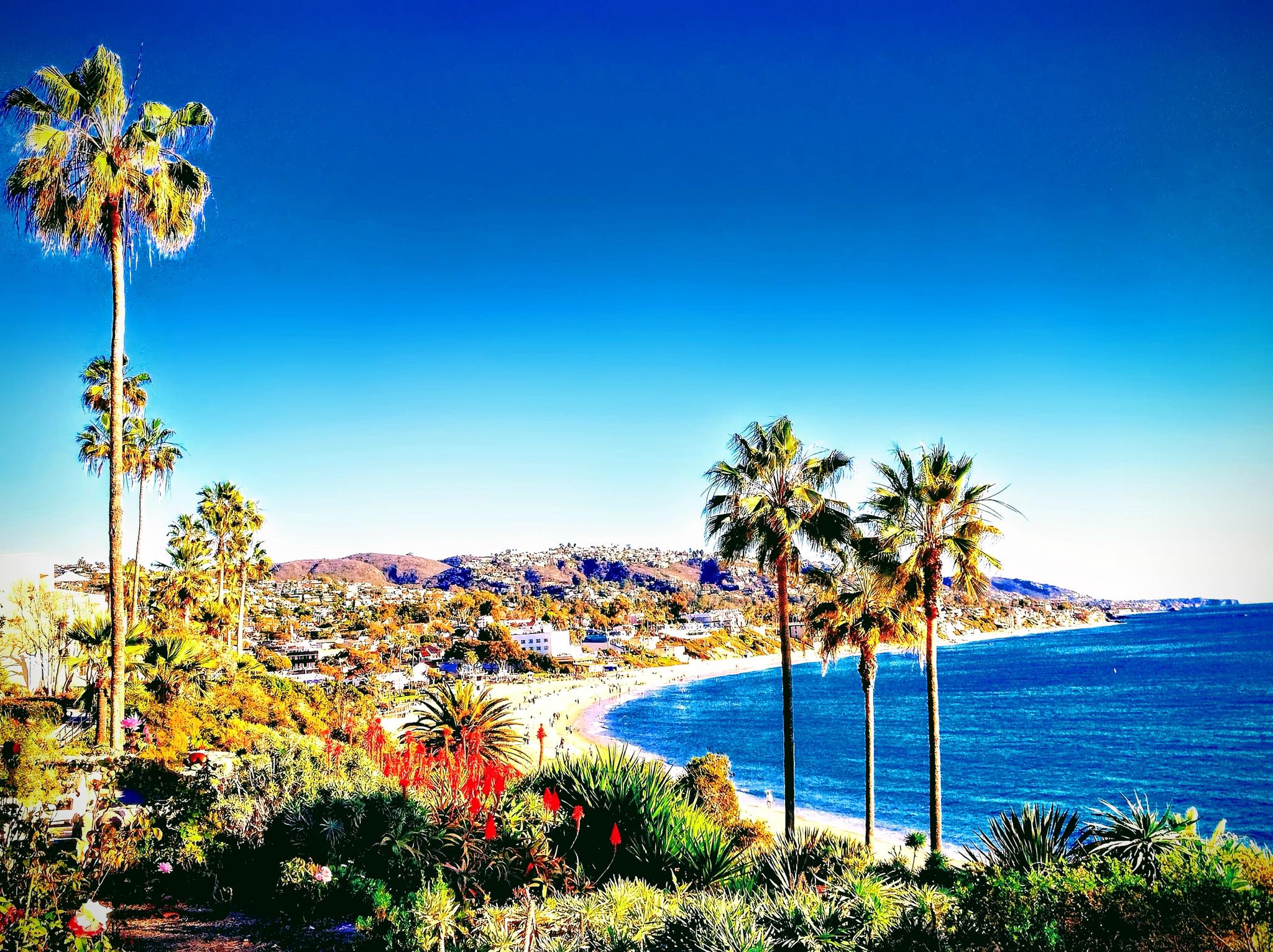 The Natural Beauty of Laguna Beach Coastline and Pacific Ocean