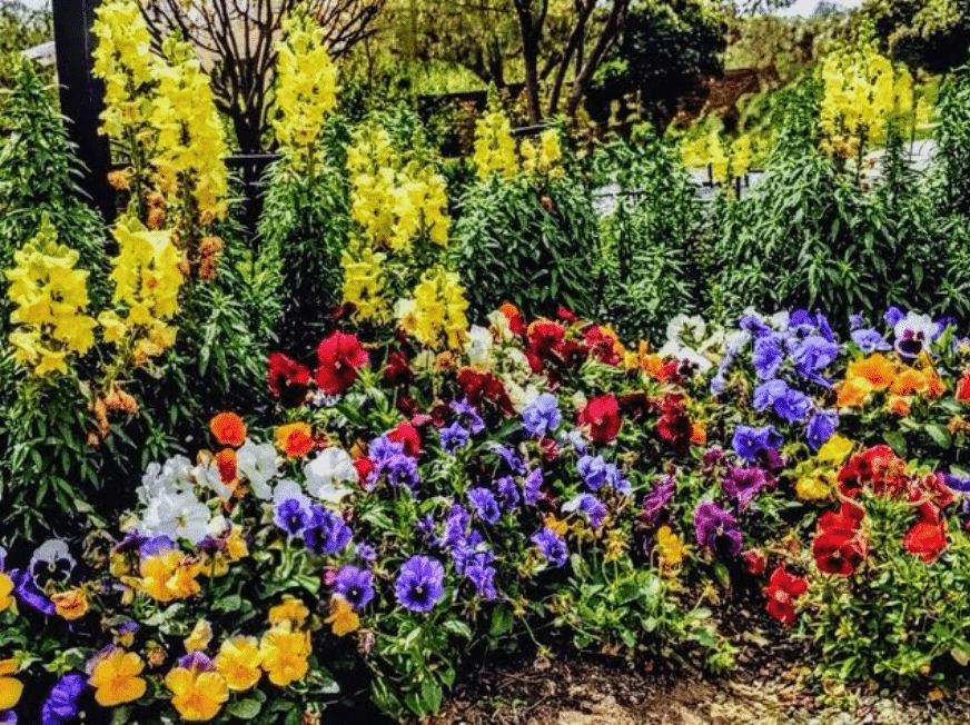 Natural Floral Garden in Austria