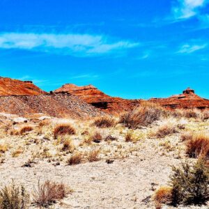 Desert Landscape