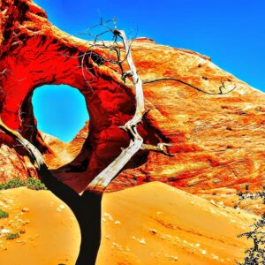 Juniper Tree and Red Rock Arch in Monument Vallet
