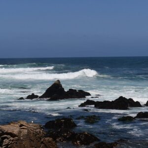 Dragging Waves Against a Jetty