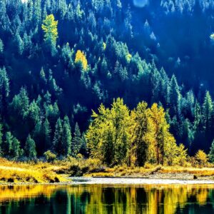 Reflective Natural Beauty of Coeur d’Alene River in Autumn