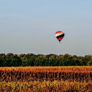 Hot Air Balloon Landing in a Cornfield