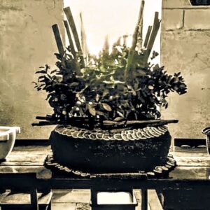 Loire Valley Antique Chef’s Table