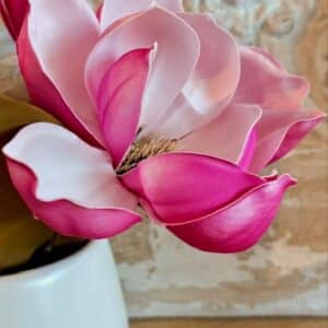 Freshly Picked Magnolia Blossom