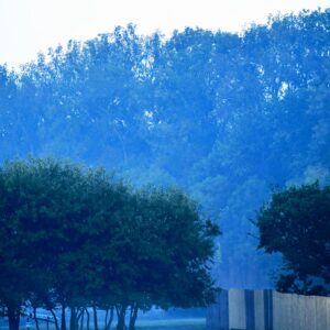 Morning Fog on The Great Plains